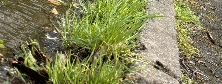 IMG 7575